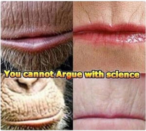 White monkey lips